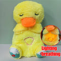 Urso Coala Com Sistema Respiratório + FRETE GRÁTIS