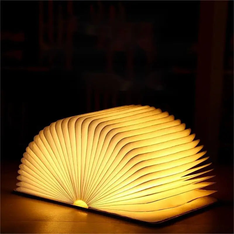 Livro de Luz + FRETE GRÁTIS (ULTIMAS UNIDADES)