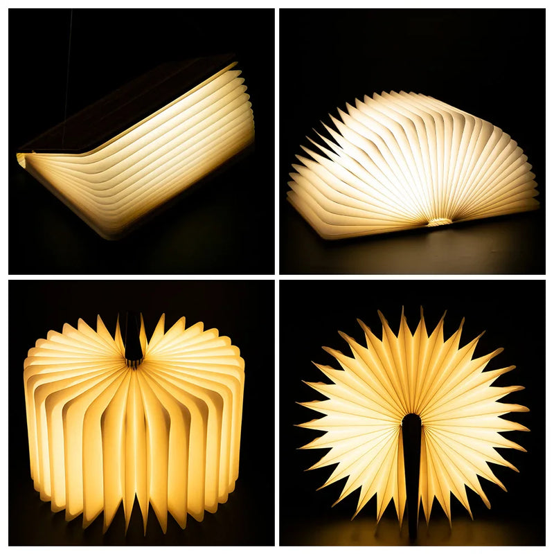 Livro de Luz + FRETE GRÁTIS (ULTIMAS UNIDADES)