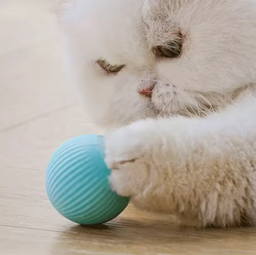 Spinball – A Bola Giratória Interativa e Divertida para o Seu Pet